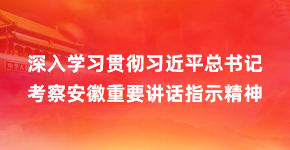 深入学习贯彻习近平总书记考察安徽重要讲话指示精神